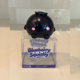 Photo of Crunchy Blueberry Squishy