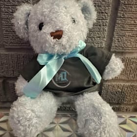 Photo of Teddy Bear