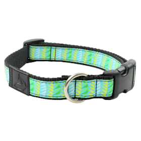 Photo of Silverfoot Collar and Leash (Small)