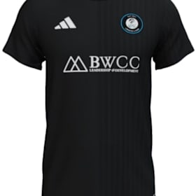 Photo of Official LASE LIONS Match Day Jersey