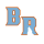Ballantyne Ridge High School PTSO