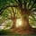Root 'n Renew