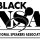 BlackNSA