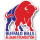 Buffalo Bills Alumni Foundation Inc