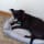 Always & Furever