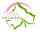 Pearls Of The Ivy Foundation Incorporated