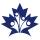 Young Professionals Canada