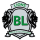BAY LAKE ELEMENTARY SCHOOL PTO INC