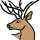 Bragg Creek Wild Society