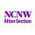 National Council Of Negro Women Inc