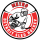 Metro Detroit Sled Hockey