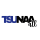 Tennessee State University National Alumni Assoc Atlanta Chapter Inc