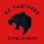 KC Panthers Development