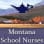 Montana Association Of School Nurses Incorporated