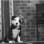 Notorious D.O.G. Dog Rescue