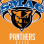 Panthers elite organization