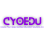 Create Your Opportunities Educational Solutions, Inc