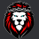Lions Sports