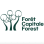 Forêt Capitale Forest