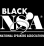 BlackNSA