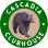 Cascadia Clubhouse