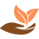 Ani Charity Foundation