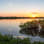 Merritt Island Wildlife Association