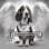 animal angels network