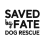 Saved By Fate Inc