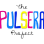 Pulsera Project