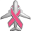 flyPinkUSA,Inc