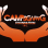 CAMPSGIVING FOUNDATION INC