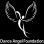Dance Angel Foundation