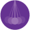 Idealized Science Institute