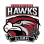 Haverford Hawks Ice Hockey Club