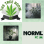 NORML KC