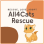 All 4 Cats Rescue