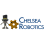 Chelsea Robotics Boosters