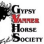 Gypsy Vanner Horse Society