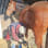 LSO Equine Sanctuary Incorporated