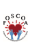 Friends Of Southampton Council On Aging