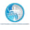 Holy Communion of Orthodox Churches International, Inc