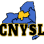 Central New York School Librarians