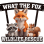 what the Fox wildlife rescue and sanctuary inc