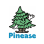 PINEASE ASSOCIATION INC