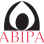 Asheville Buncombe  Institute of Parity Achievement