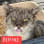 Duette Animal Rescue Team (DART)