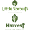 Little Sprouts & Harvest Christian Academy