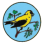 Rockingham Bird Club Inc