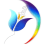 THE BEING HUMAN FOUNDATION (CAN-CG)